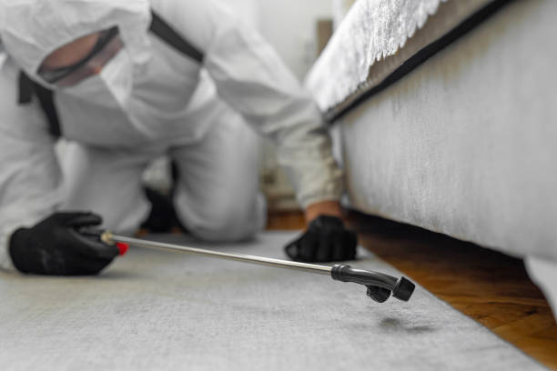 Professional Cockroach Control technician working in Fannett, TX